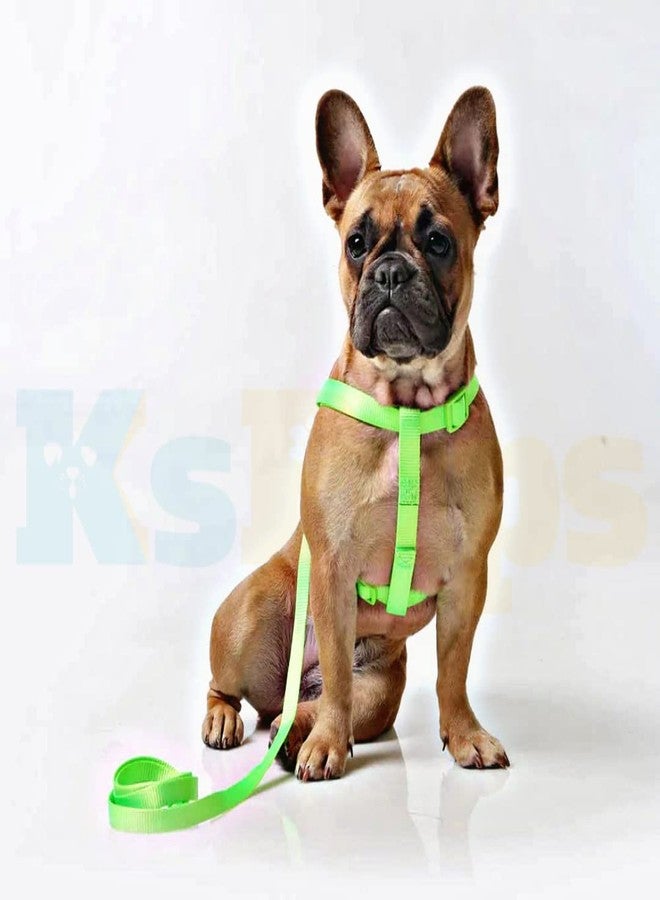 KsPups Nylon Adjustable Leash with Harness Set 0.5 Inch Puppy Harness for Small & Medium Dogs - 15 MM (Available As Per Color) - Image 1
